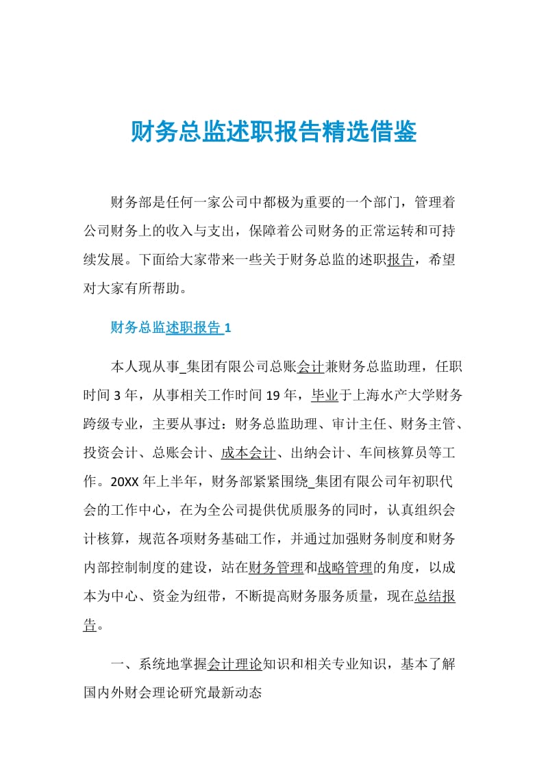 财务总监述职报告精选借鉴.doc_第1页