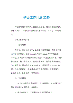 护士工作计划2020.doc