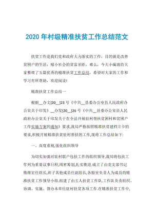 2020年村级精准扶贫工作总结范文.doc