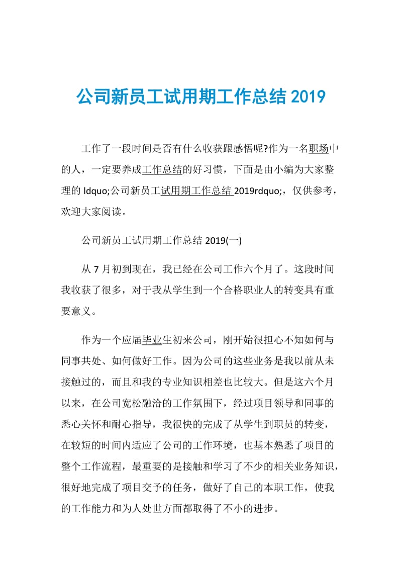 公司新员工试用期工作总结2019.doc_第1页