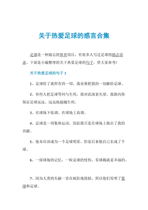 关于热爱足球的感言合集.doc