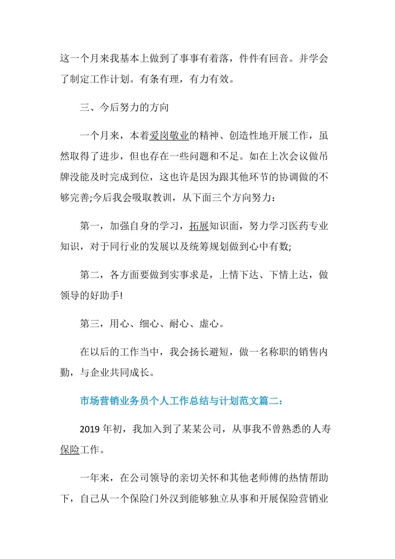 市场营销业务员个人工作总结与计划范文.doc_第3页