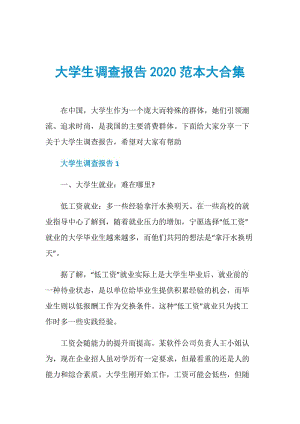 大学生调查报告2020范本大合集.doc