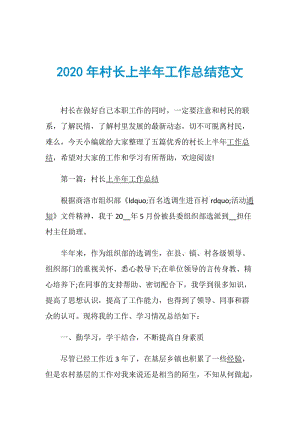 2020年村长上半年工作总结范文.doc