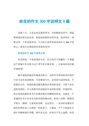 桂花的作文300字说明文5篇.doc