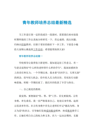 青年教师培养总结最新精选.doc