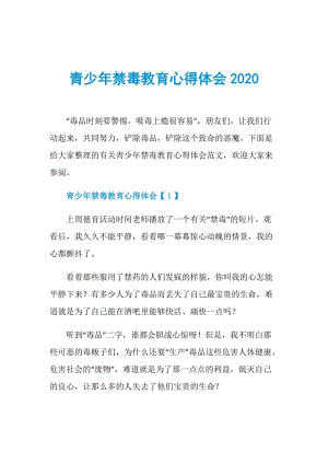 青少年禁毒教育心得体会2020.doc