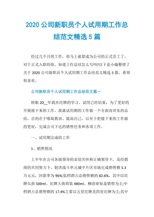 2020公司新职员个人试用期工作总结范文精选5篇.doc