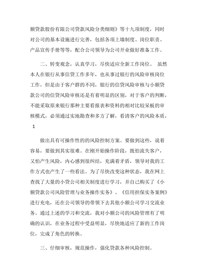 小贷公司风险经理个人工作总结.doc_第2页