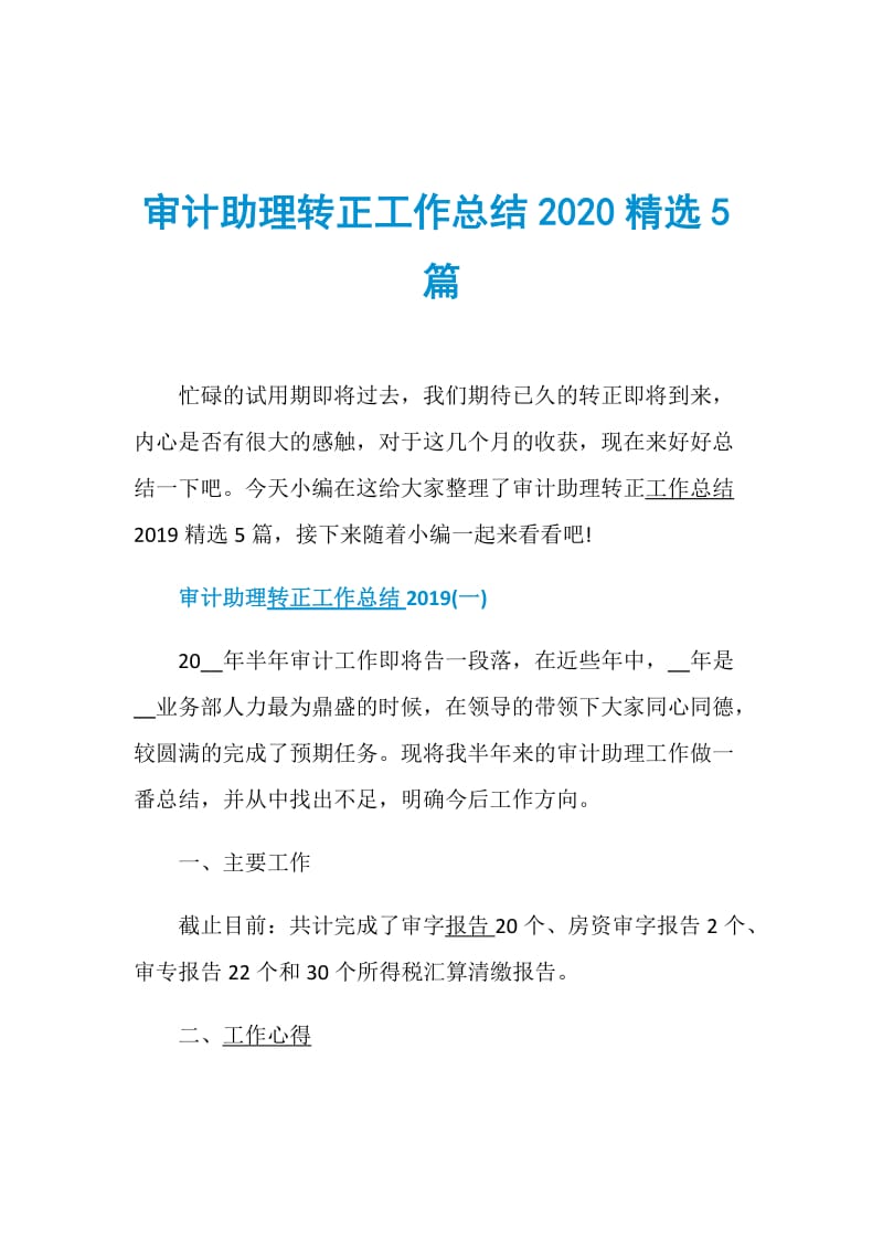 审计助理转正工作总结2020精选5篇.doc_第1页