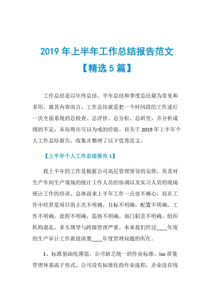 2019年上半年工作总结报告范文【精选5篇】.doc