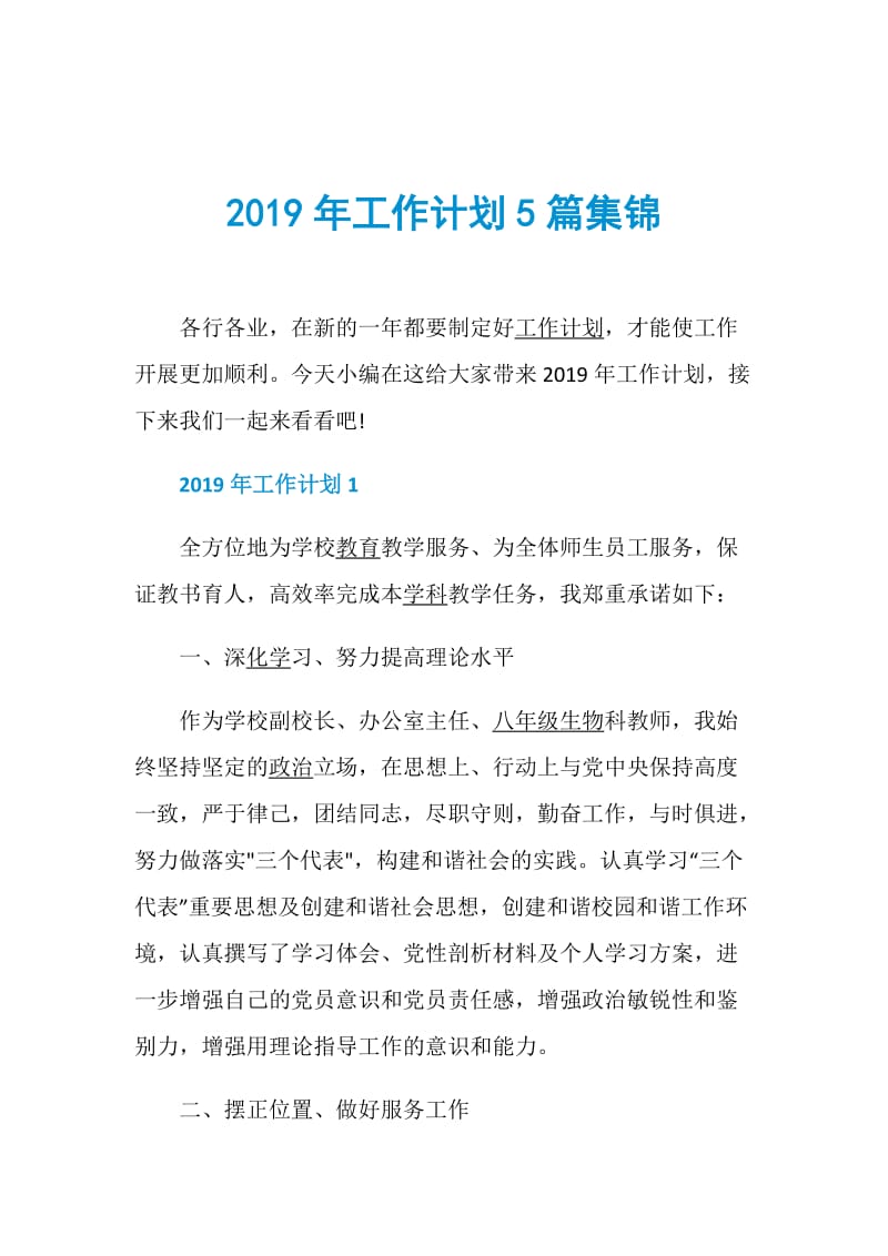 2019年工作计划5篇集锦.doc_第1页