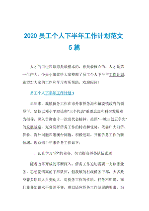 2020员工个人下半年工作计划范文5篇.doc