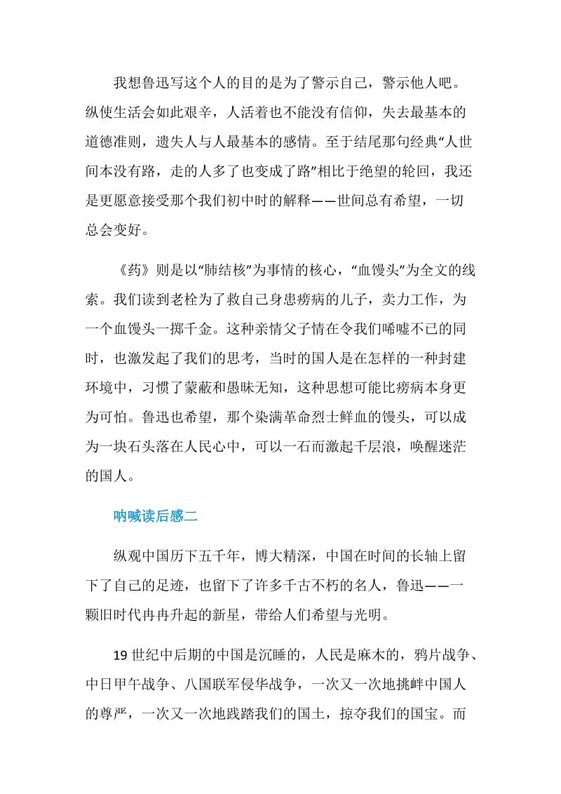 关于鲁迅先生呐喊读后感大全.doc_第2页