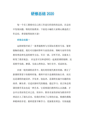 研修总结2020.doc