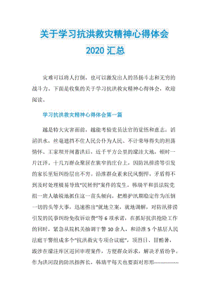 关于学习抗洪救灾精神心得体会2020汇总.doc