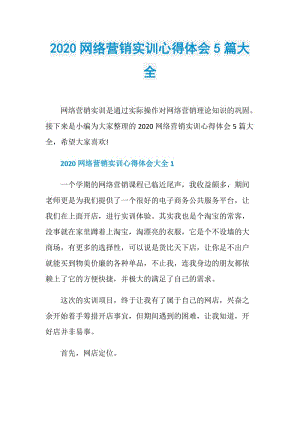 2020网络营销实训心得体会5篇大全.doc