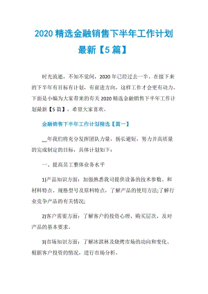 2020精选金融销售下半年工作计划最新【5篇】.doc