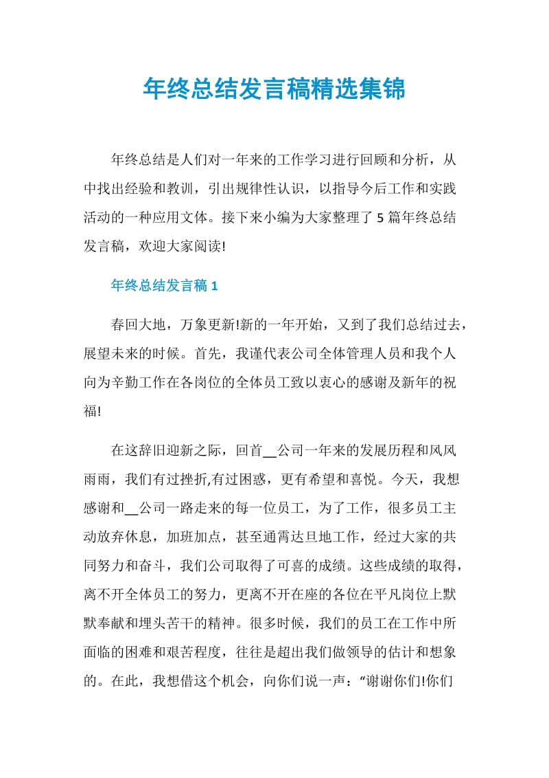 年终总结发言稿精选集锦.doc_第1页