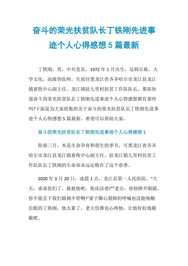 奋斗的荣光扶贫队长丁铁刚先进事迹个人心得感想5篇最新.doc_第1页