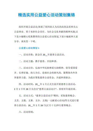 精选实用公益爱心活动策划集锦.doc