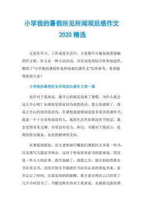 小学我的暑假所见所闻观后感作文2020精选.doc