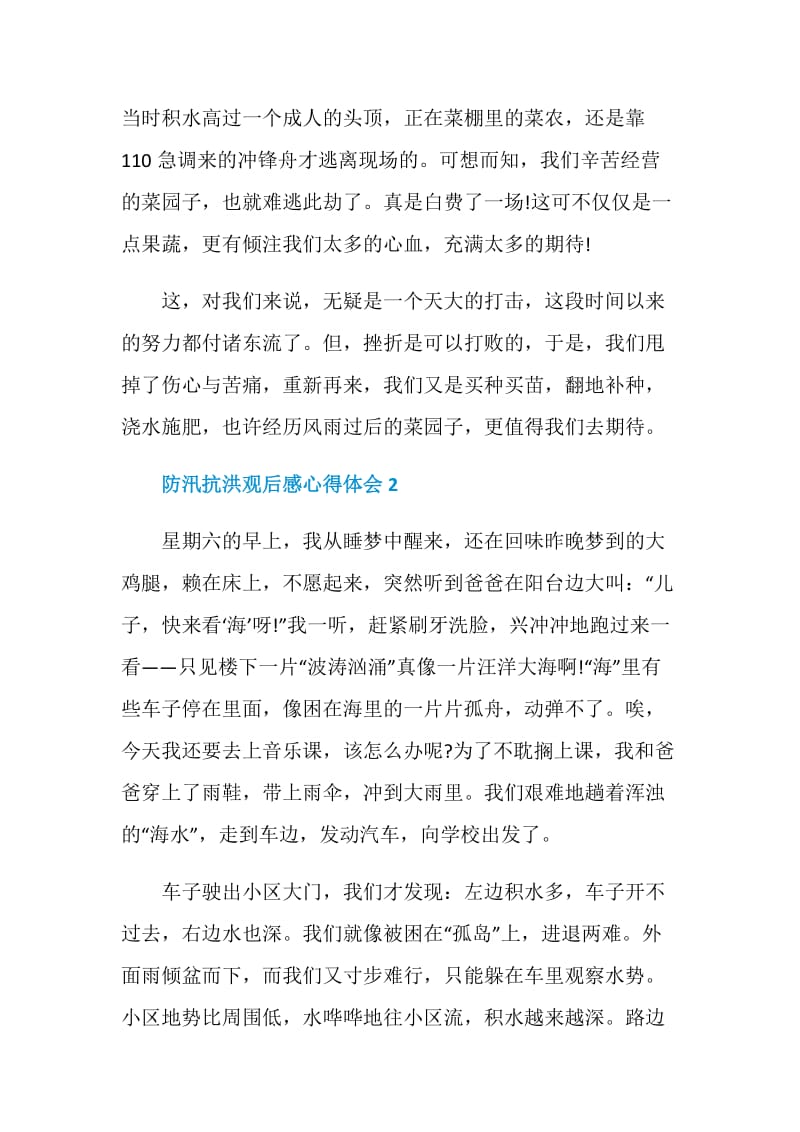 防汛抗洪观后感心得体会5篇精选大全.doc_第2页