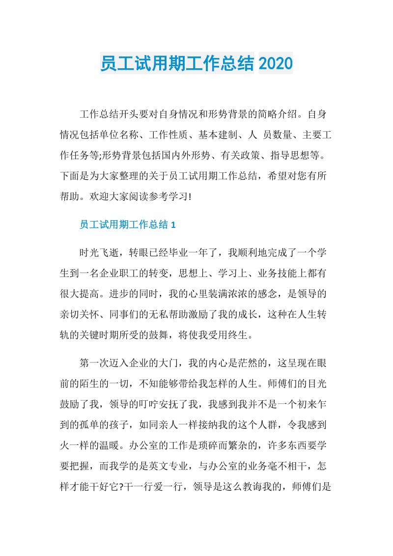 员工试用期工作总结2020.doc_第1页