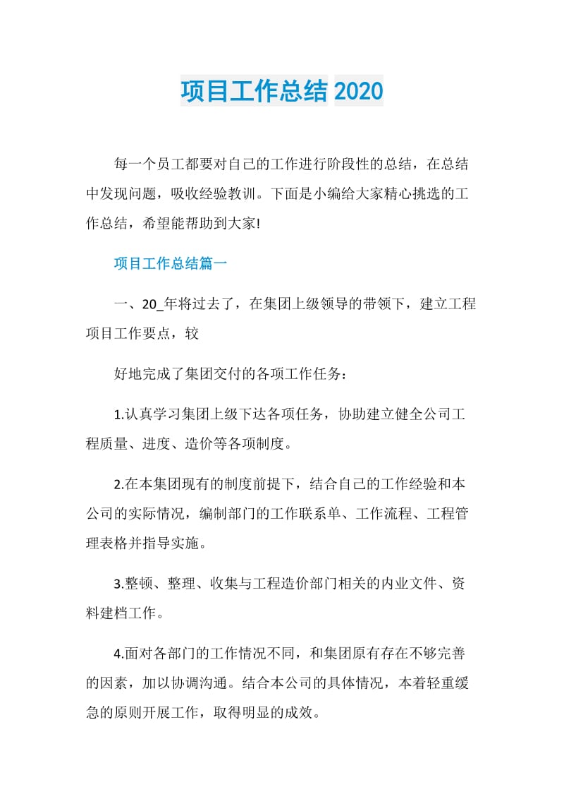 项目工作总结2020.doc_第1页