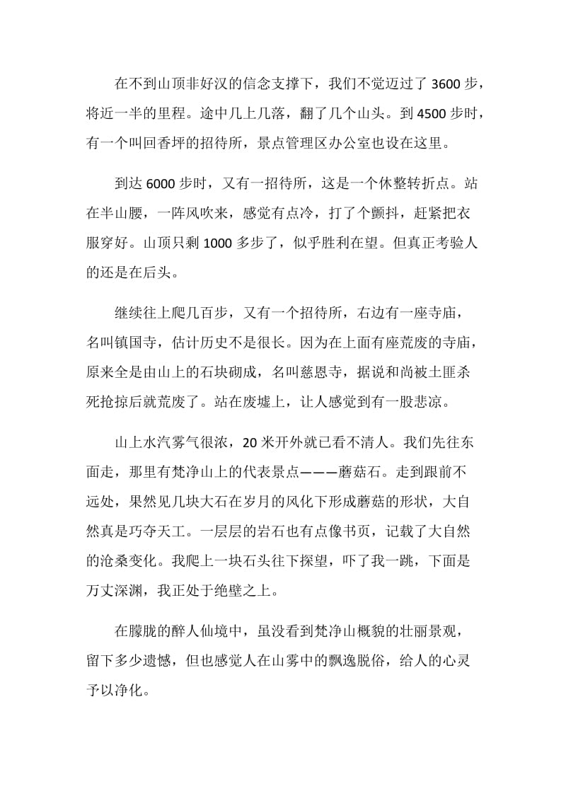 美丽贵州景点导游词大全合集.doc_第3页