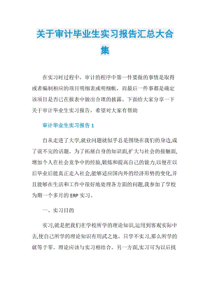 关于审计毕业生实习报告汇总大合集.doc