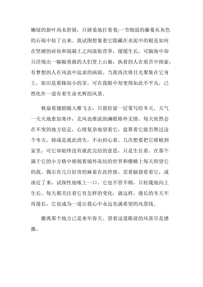 2020风景演讲稿全新集合.doc_第2页