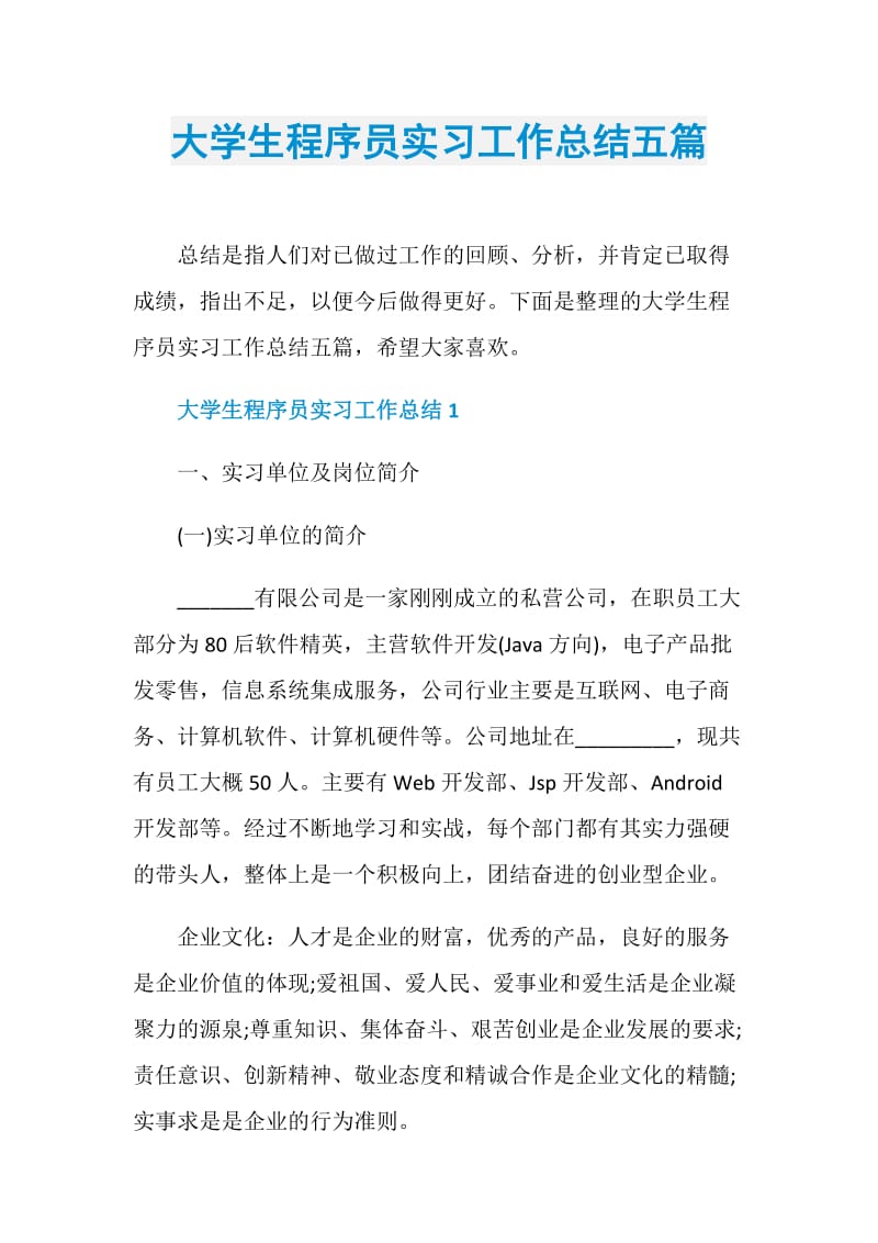 大学生程序员实习工作总结五篇.doc_第1页