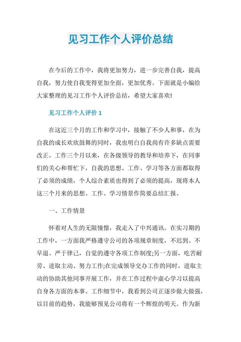 见习工作个人评价总结.doc_第1页