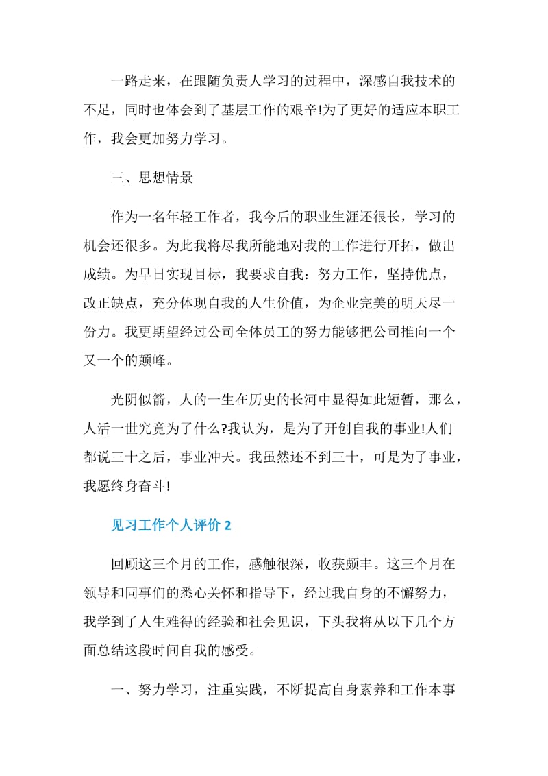 见习工作个人评价总结.doc_第3页