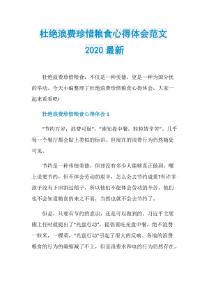 杜绝浪费珍惜粮食心得体会范文2020最新.doc