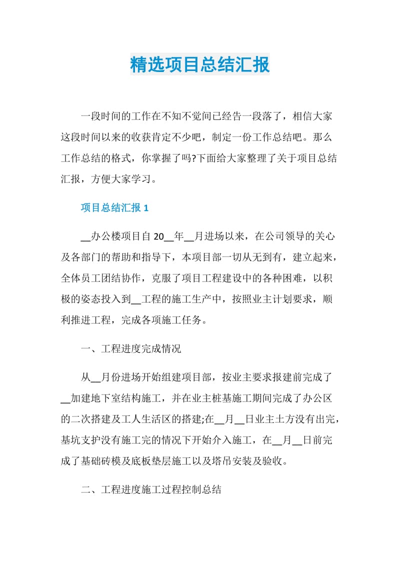 精选项目总结汇报.doc_第1页