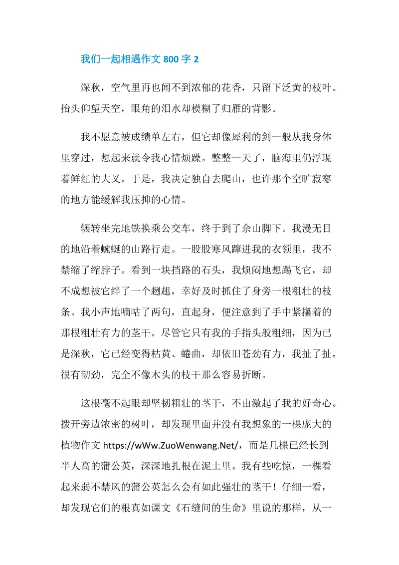 我们一起相遇作文800字.doc_第3页