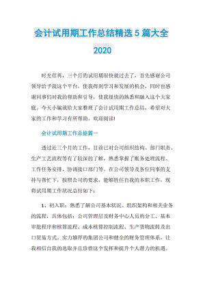 会计试用期工作总结精选5篇大全2020.doc