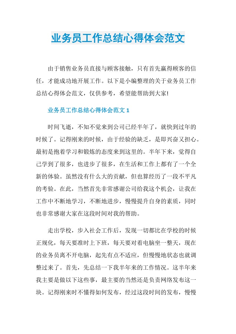 业务员工作总结心得体会范文.doc_第1页