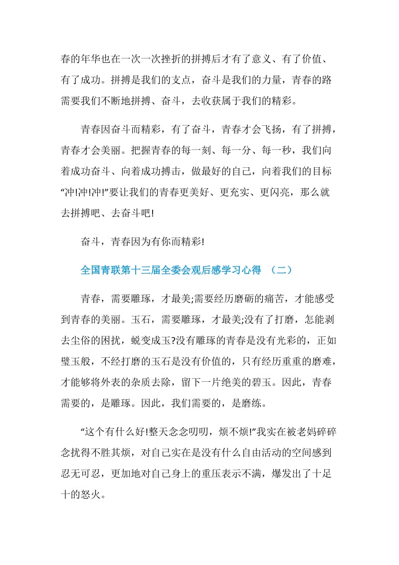 2020全国青联第十三届全委会观后感学习心得.doc_第2页