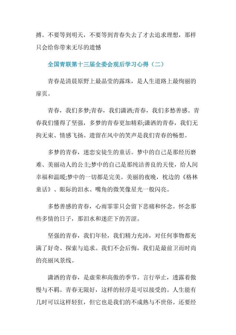 全国青联第十三届全委会观后学习心得.doc_第3页