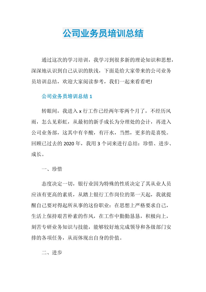 公司业务员培训总结.doc_第1页