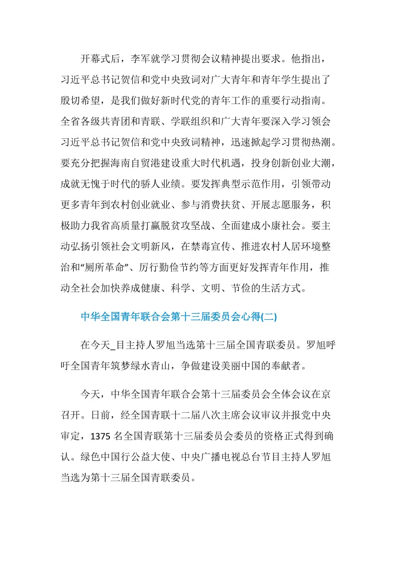 2020中华全国青年联合会第十三届委员会心得体会范文5篇.doc_第2页