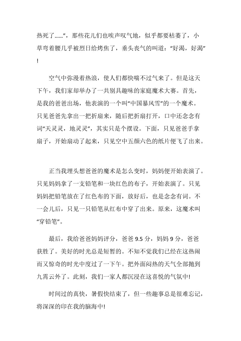 暑假的趣事作文600字5篇.doc_第3页