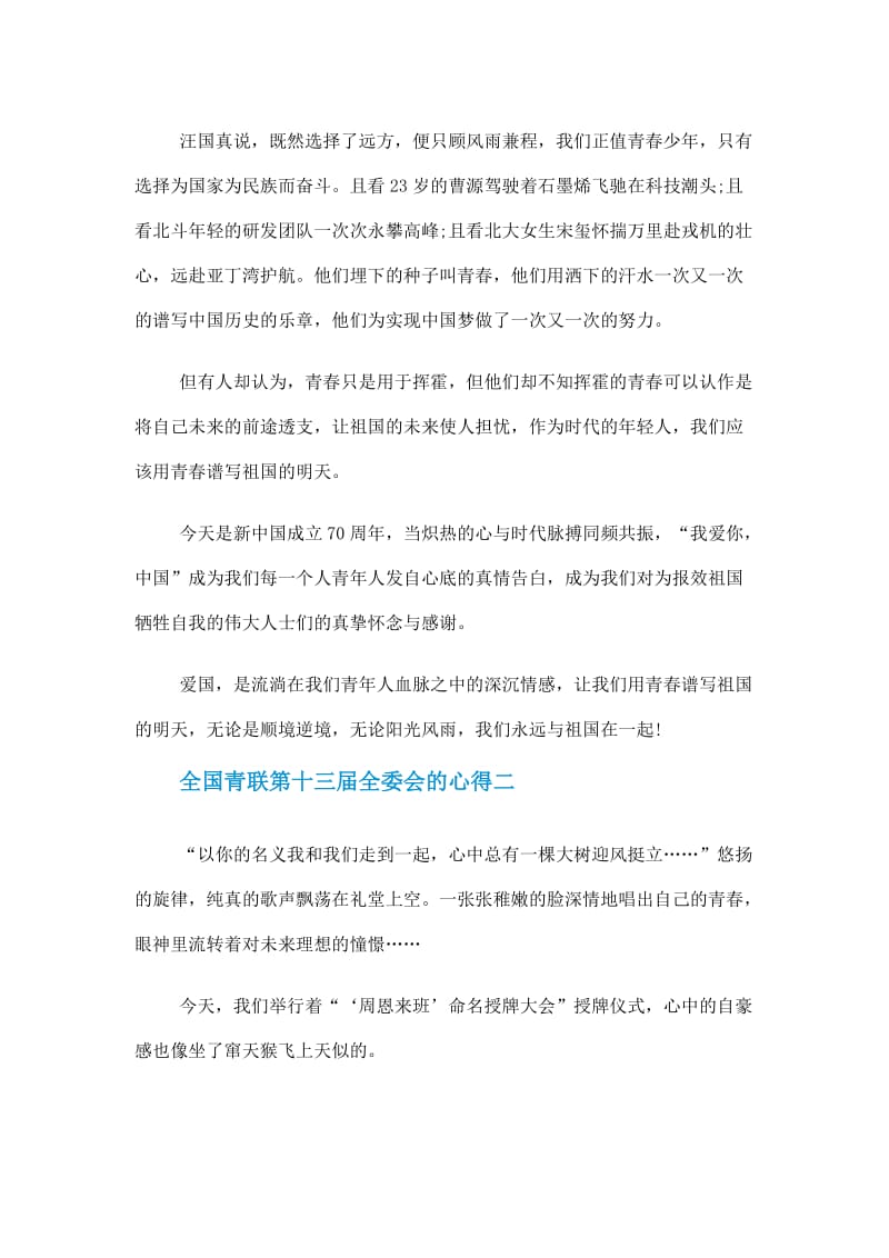 有关全国青联第十三届全委会的心得体会主题作文精选5篇.doc_第2页