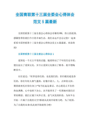 全国青联第十三届全委会心得体会范文5篇最新.doc