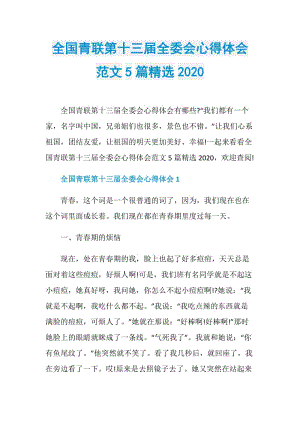 全国青联第十三届全委会心得体会范文5篇精选2020.doc