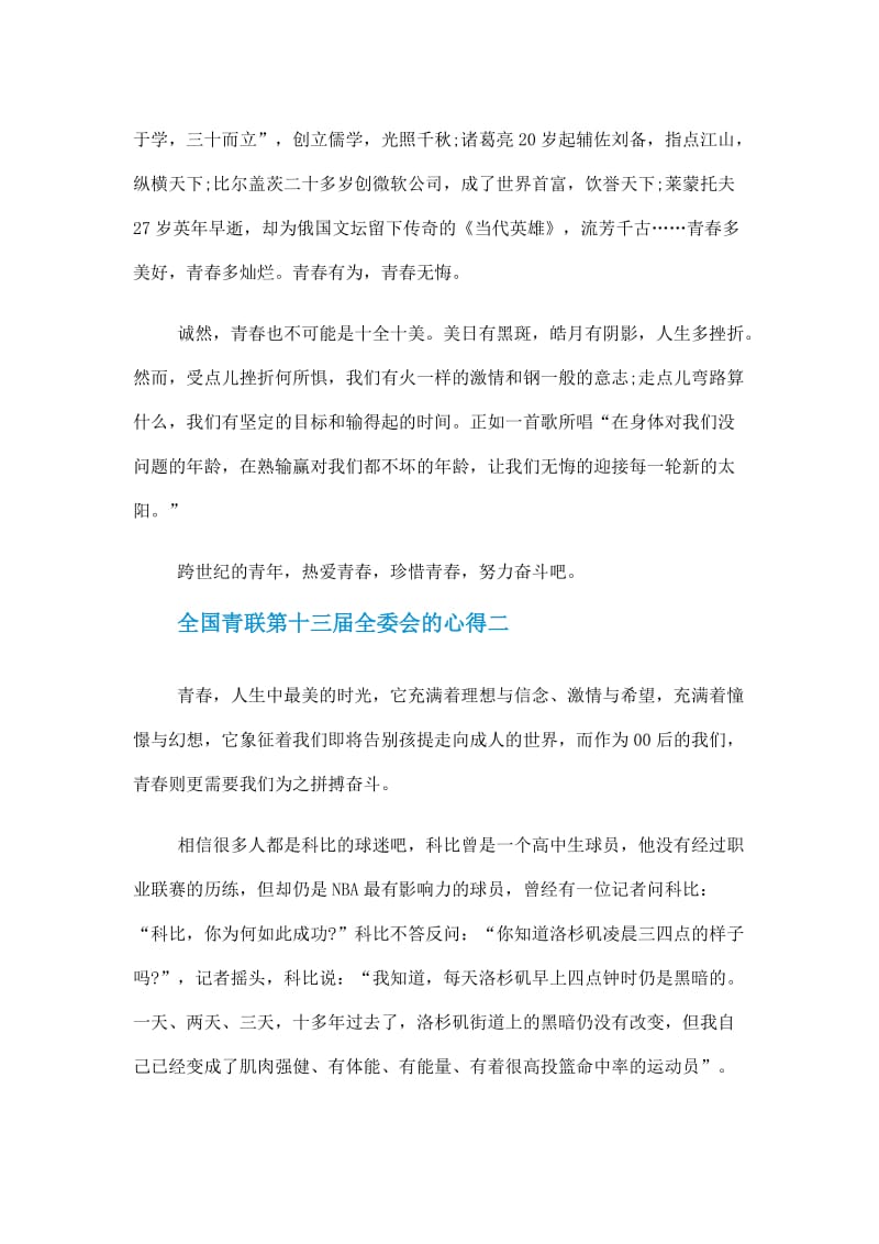 2020全国青联第十三届全委会的心得体会5篇作文.doc_第2页