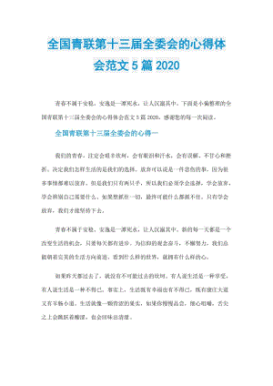 全国青联第十三届全委会的心得体会范文5篇2020.doc